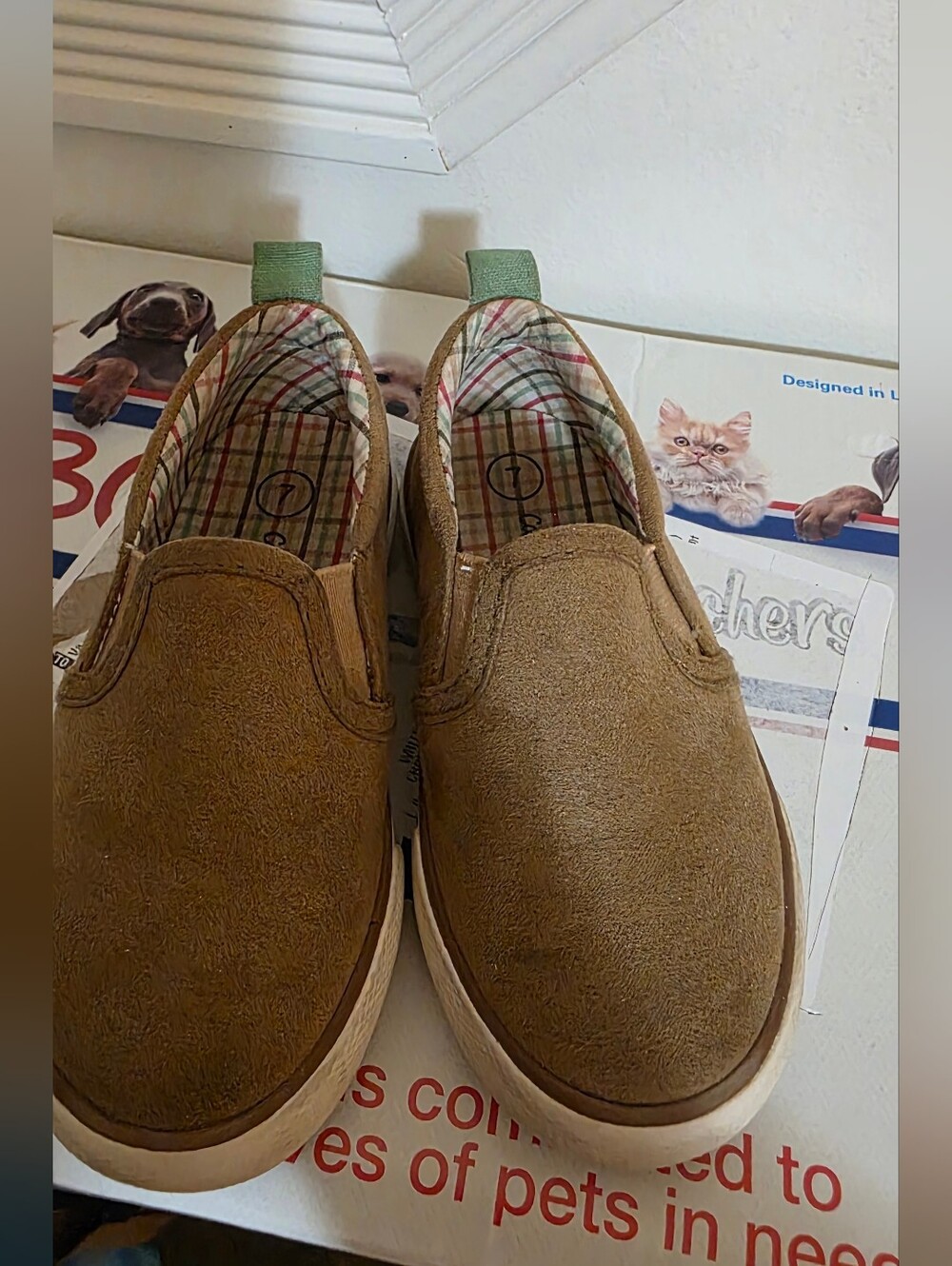 Boys Slip-On Casual Shoes in Brown